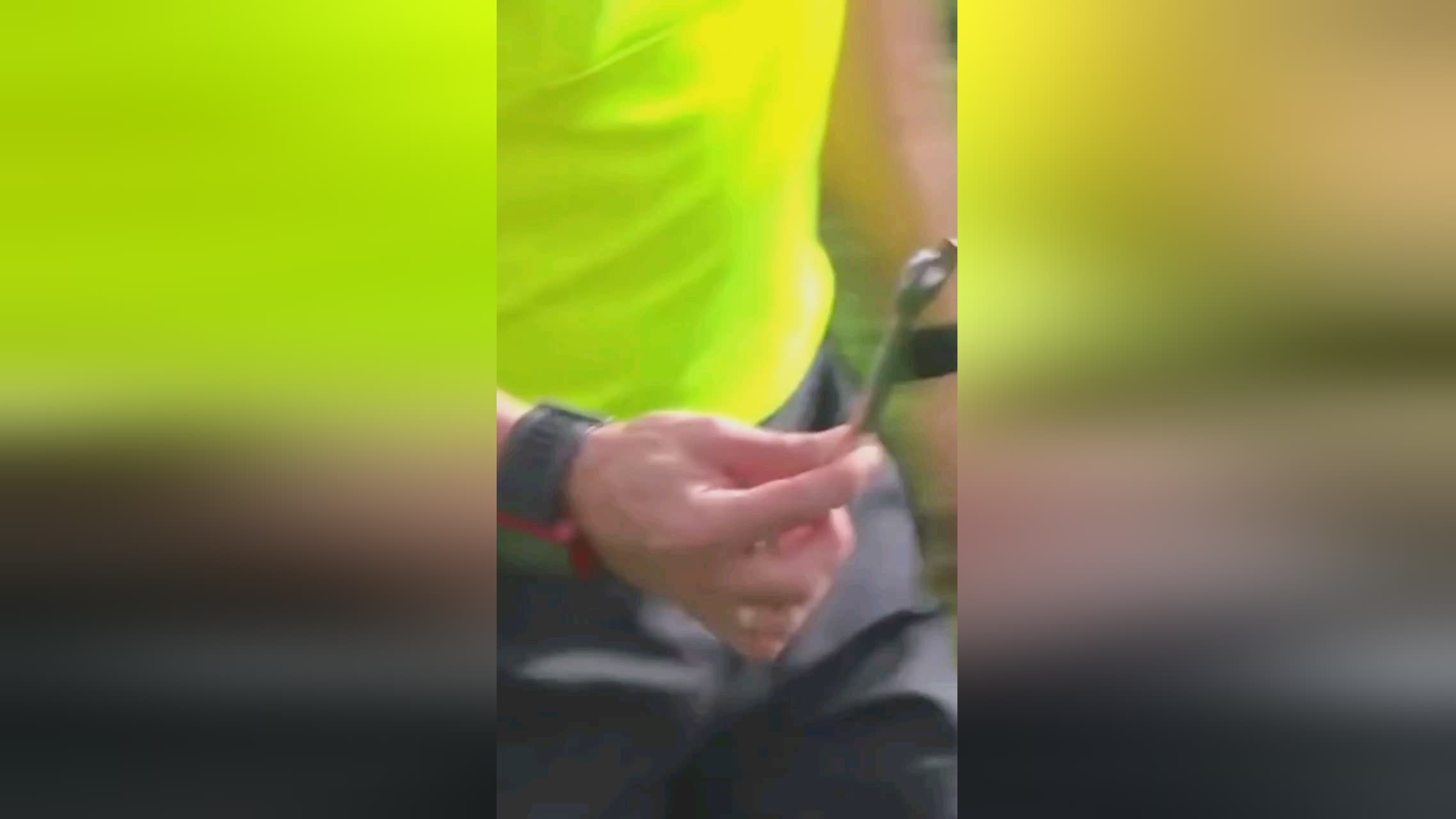 生涯的重